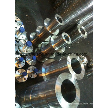 Long Weld Neck Forging Flange